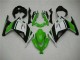 Carénage Moto Kawasaki EX300 2013-2016 - Vert Noir Argent Carénage Moto Kawasaki EX300 2013-2016 - Vert Noir Argent