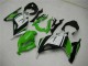 Carénage Moto Kawasaki EX300 2013-2016 - Vert Noir Argent Carénage Moto Kawasaki EX300 2013-2016 - Vert Noir Argent