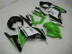 Carénage Moto Kawasaki EX300 2013-2016 - Vert Noir Argent Carénage Moto Kawasaki EX300 2013-2016 - Vert Noir Argent