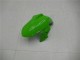 Carénage Moto Kawasaki EX300 2013-2016 - Vert Noir Argent Carénage Moto Kawasaki EX300 2013-2016 - Vert Noir Argent