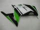 Carénage Moto Kawasaki EX300 2013-2016 - Vert Noir Argent Carénage Moto Kawasaki EX300 2013-2016 - Vert Noir Argent