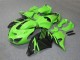 Carénage Moto Kawasaki ZX14R ZZR 1400 2006-2011 - Vert Noir Carénage Moto Kawasaki ZX14R ZZR 1400 2006-2011 - Vert Noir