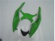 Carrosserie Moto Kawasaki ZX6R 2009-2012 - Vert Noir Carrosserie Moto Kawasaki ZX6R 2009-2012 - Vert Noir
