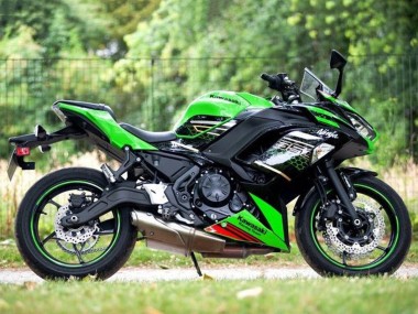 Acheter Carénages Moto Kawasaki Ninja 650 EX650 2020-2025 - Vert Noir Rouge Rayon de Miel
